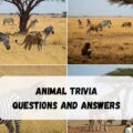 Animal Trivia Questions and Answers