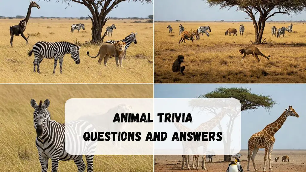Animal Trivia Questions and Answers