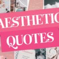 Aesthetic Quotes