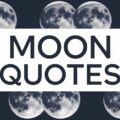 Moon Quotes